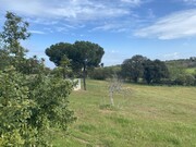 Quinta T5 - So Bento do Cortio, Estremoz, vora - Miniatura: 7/9
