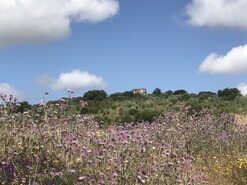 Quinta T6 - Estremoz, Estremoz, vora