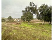 Quinta T6 - Estremoz, Estremoz, vora - Miniatura: 6/9
