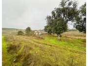 Quinta T6 - Estremoz, Estremoz, vora - Miniatura: 8/9