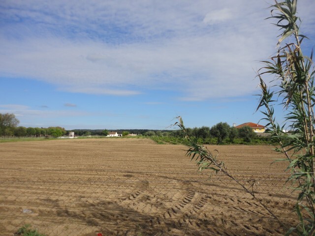 Terreno Urbano - S�o Miguel do Rio Torto, Abrantes, Santar�m - Imagem grande