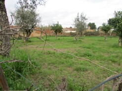 Terreno R�stico - Alvega, Abrantes, Santar�m