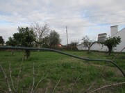 Terreno R�stico - Alvega, Abrantes, Santar�m - Miniatura: 1/9
