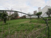 Terreno R�stico - Alvega, Abrantes, Santar�m - Miniatura: 2/9