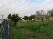 Terreno R�stico - Alvega, Abrantes, Santar�m - Miniatura: 5/9