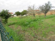 Terreno R�stico - Alvega, Abrantes, Santar�m - Miniatura: 6/9