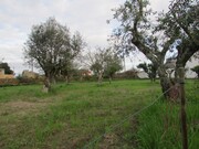 Terreno R�stico - Alvega, Abrantes, Santar�m - Miniatura: 7/9