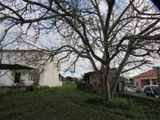 Terreno R�stico - Alvega, Abrantes, Santar�m - Miniatura: 8/9
