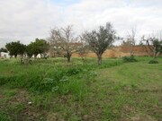 Terreno R�stico - Alvega, Abrantes, Santar�m - Miniatura: 9/9