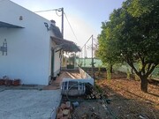 Armazém - Sardoal, Sardoal, Santarém - Miniatura: 2/9