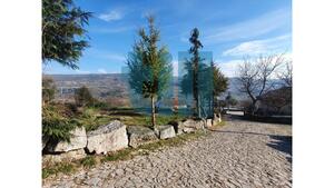 Terreno Rstico - Soutelo de Aguiar, Vila Pouca de Aguiar, Vila Real