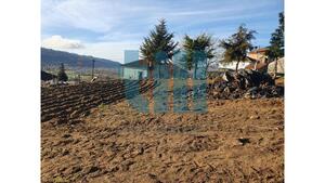 Terreno Rstico - Soutelo de Aguiar, Vila Pouca de Aguiar, Vila Real - Miniatura: 10/25