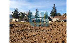 Terreno Rstico - Soutelo de Aguiar, Vila Pouca de Aguiar, Vila Real - Miniatura: 11/25
