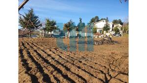 Terreno Rstico - Soutelo de Aguiar, Vila Pouca de Aguiar, Vila Real - Miniatura: 12/25