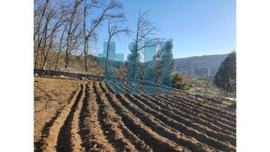 Terreno Rstico - Soutelo de Aguiar, Vila Pouca de Aguiar, Vila Real - Miniatura: 18/25