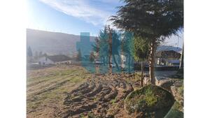 Terreno Rstico - Soutelo de Aguiar, Vila Pouca de Aguiar, Vila Real - Miniatura: 23/25