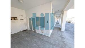 Loja - Vila Pouca de Aguiar, Vila Pouca de Aguiar, Vila Real - Miniatura: 15/15