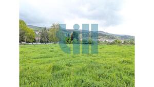 Terreno R�stico - Vila Pouca de Aguiar, Vila Pouca de Aguiar, Vila Real - Miniatura: 26/33