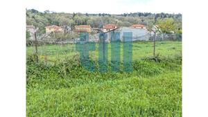 Terreno R�stico - Vila Pouca de Aguiar, Vila Pouca de Aguiar, Vila Real - Miniatura: 28/33