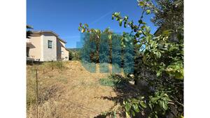 Terreno R�stico - Vila Pouca de Aguiar, Vila Pouca de Aguiar, Vila Real - Miniatura: 3/6