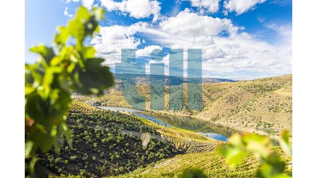 Quinta T1 - Vila Nova de Foz C�a, Vila Nova de Foz C�a, Guarda - Imagem grande