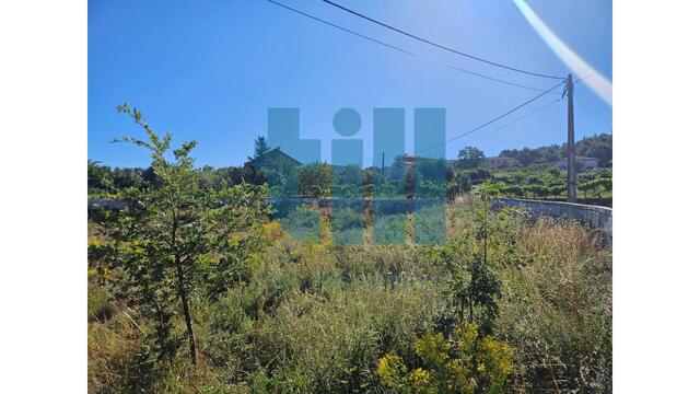 Terreno R�stico - Roli�a, Bombarral, Leiria - Imagem grande