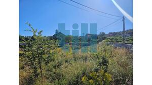 Terreno R�stico - Roli�a, Bombarral, Leiria