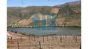 Quinta T1 - Vila Nova de Foz C�a, Vila Nova de Foz C�a, Guarda - Miniatura: 2/37