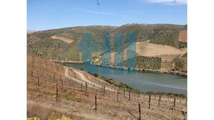 Quinta T1 - Vila Nova de Foz C�a, Vila Nova de Foz C�a, Guarda - Miniatura: 4/37