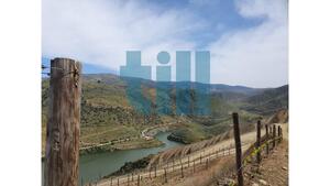 Quinta T1 - Vila Nova de Foz C�a, Vila Nova de Foz C�a, Guarda - Miniatura: 5/37