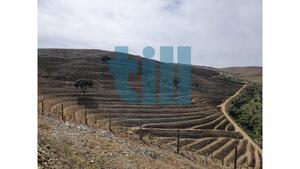 Quinta T1 - Vila Nova de Foz C�a, Vila Nova de Foz C�a, Guarda - Miniatura: 6/37