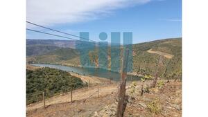 Quinta T1 - Vila Nova de Foz C�a, Vila Nova de Foz C�a, Guarda - Miniatura: 7/37