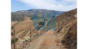 Quinta T1 - Vila Nova de Foz C�a, Vila Nova de Foz C�a, Guarda - Miniatura: 9/37