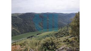 Quinta T1 - Vila Nova de Foz C�a, Vila Nova de Foz C�a, Guarda - Miniatura: 11/37