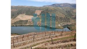 Quinta T1 - Vila Nova de Foz C�a, Vila Nova de Foz C�a, Guarda - Miniatura: 12/37