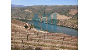 Quinta T1 - Vila Nova de Foz C�a, Vila Nova de Foz C�a, Guarda - Miniatura: 13/37