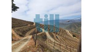 Quinta T1 - Vila Nova de Foz C�a, Vila Nova de Foz C�a, Guarda - Miniatura: 15/37