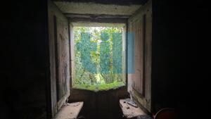 Quinta T4 - Ribeira de Pena, Ribeira de Pena, Vila Real - Miniatura: 7/24