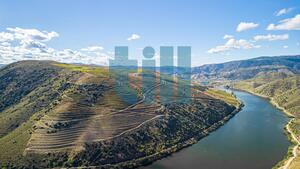 Quinta T1 - Vila Nova de Foz C�a, Vila Nova de Foz C�a, Guarda - Miniatura: 26/37