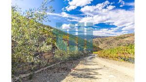 Quinta T1 - Vila Nova de Foz C�a, Vila Nova de Foz C�a, Guarda - Miniatura: 27/37