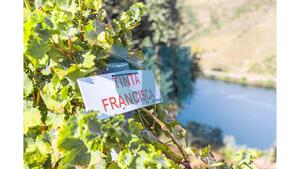 Quinta T1 - Vila Nova de Foz C�a, Vila Nova de Foz C�a, Guarda - Miniatura: 31/37