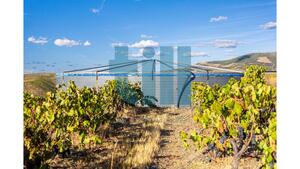 Quinta T1 - Vila Nova de Foz C�a, Vila Nova de Foz C�a, Guarda - Miniatura: 33/37