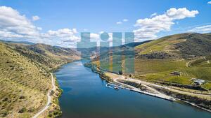 Quinta T1 - Vila Nova de Foz C�a, Vila Nova de Foz C�a, Guarda - Miniatura: 35/37