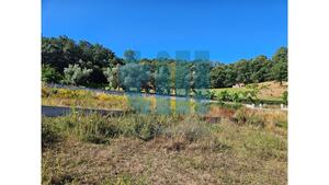 Terreno R�stico - Roli�a, Bombarral, Leiria - Miniatura: 2/22