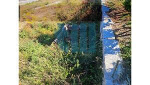 Terreno R�stico - Roli�a, Bombarral, Leiria - Miniatura: 5/22