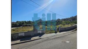 Terreno R�stico - Roli�a, Bombarral, Leiria - Miniatura: 6/22