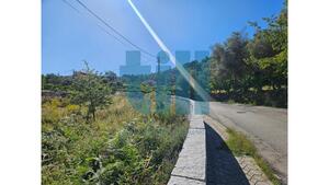 Terreno R�stico - Roli�a, Bombarral, Leiria - Miniatura: 11/22