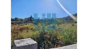 Terreno R�stico - Roli�a, Bombarral, Leiria - Miniatura: 13/22