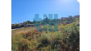 Terreno R�stico - Roli�a, Bombarral, Leiria - Miniatura: 14/22