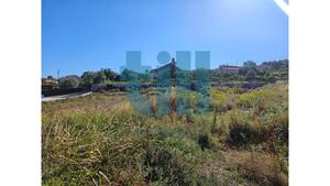 Terreno R�stico - Roli�a, Bombarral, Leiria - Miniatura: 15/22